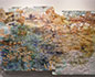 <i>Garlic Mustard and Multiflora Rose: 39° 10' 22.46" N, 87° 51' 5.41" W</i>, garlic mustard bontanical material and multiflora rose thorns with mixed media, 2013, 55.5" x 79"