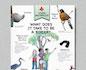 Design and illustrations created for the Illinois Audubon Society's 2018 spring  issue of the <i>Young Naturalist</i>, front page.